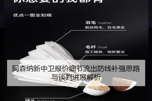 阿森纳新中卫报价细节流出防线补强思路与谈判进展解析